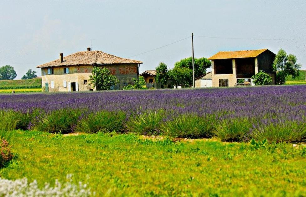 Il Murello Fiorentina Exterior photo